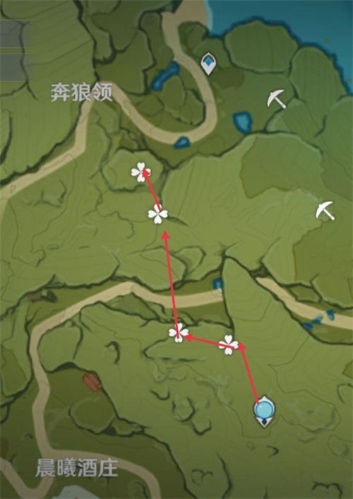 原神松果高效采集路线图攻略