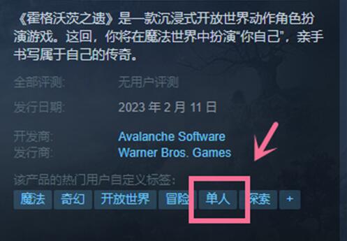 霍格沃茨之遗可以联机吗