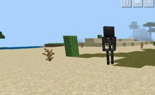 我的世界凋零玫瑰获取攻略