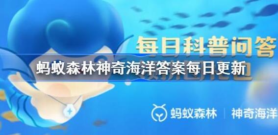 以下哪种海洋生物有海耳之称 神奇海洋今日答案2024年7月10日最新